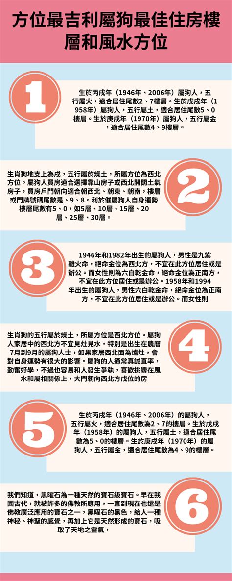 屬狗樓層|【屬狗 方位】屬狗者必看！最強方位指南：買房、住樓層全攻略